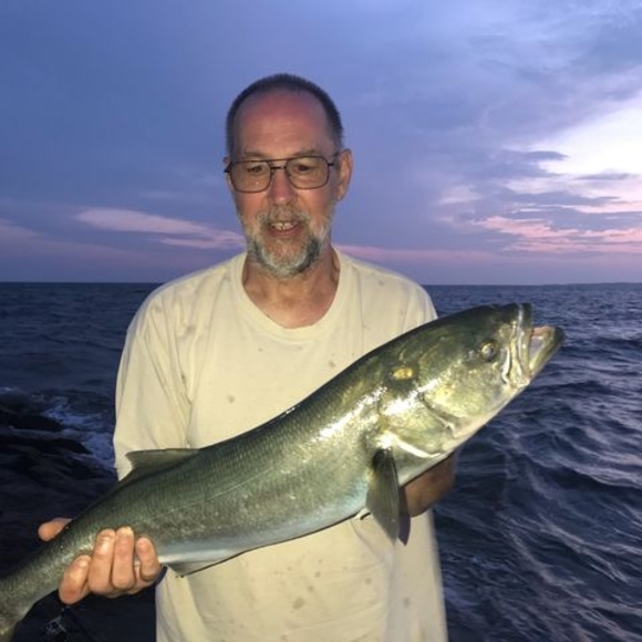 Meet your Posher, Randy - Picture 1 of 1